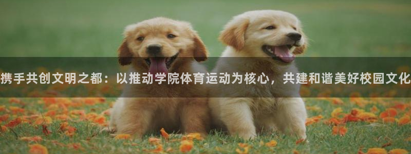 携手共创文明之都：以推动学院体育运动为核心，共建和谐美好校园文化
