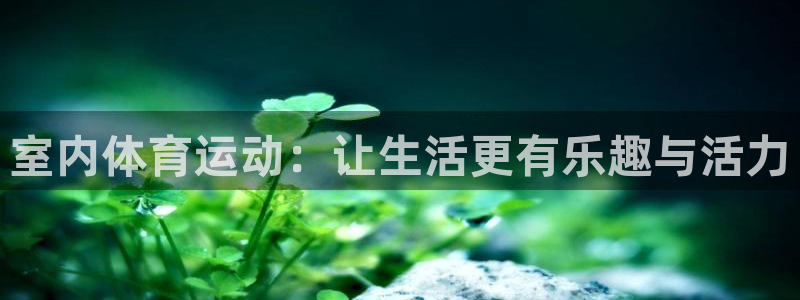 室内体育运动：让生活更有乐趣与活力