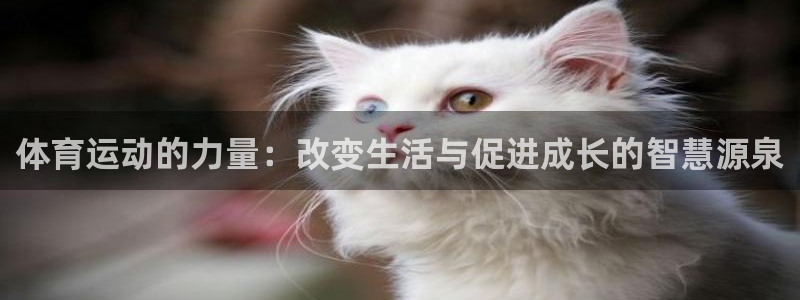 体育运动的力量：改变生活与促进成长的智慧源泉