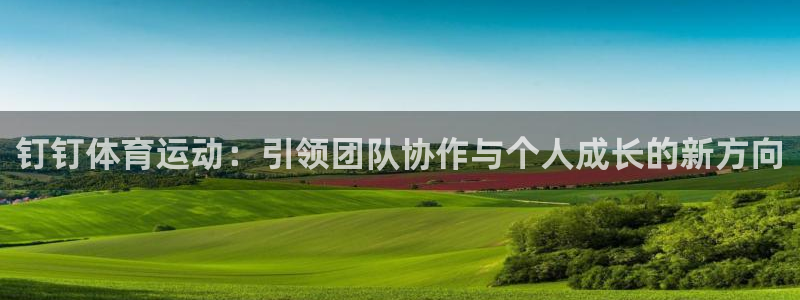钉钉体育运动：引领团队协作与个人成长的新方向