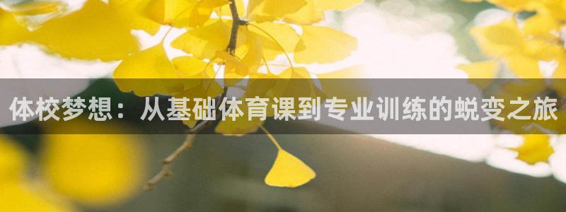 体校梦想：从基础体育课到专业训练的蜕变之旅
