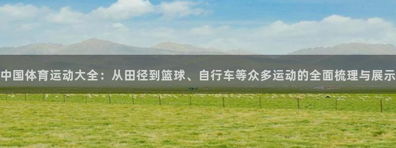 中国体育运动大全：从田径到篮球、自行车等众多运动的全面梳理与展示