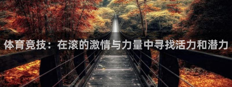 体育竞技：在滚的激情与力量中寻找活力和潜力