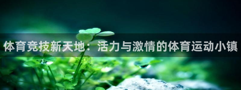 体育竞技新天地：活力与激情的体育运动小镇