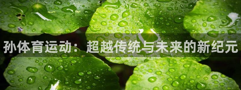 孙体育运动：超越传统与未来的新纪元