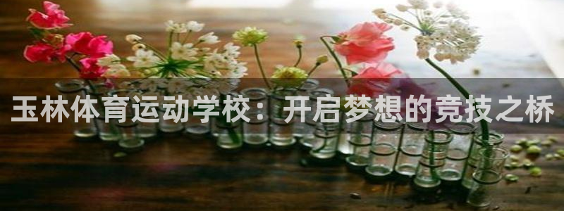 玉林体育运动学校：开启梦想的竞技之桥
