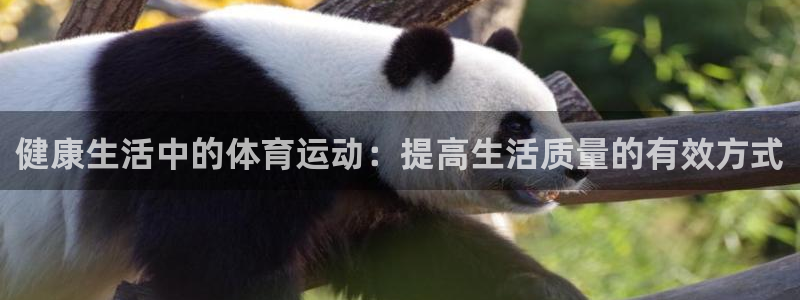 健康生活中的体育运动：提高生活质量的有效方式