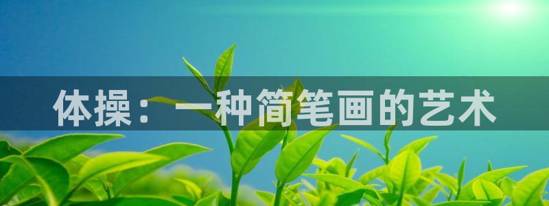 体操：一种简笔画的艺术
