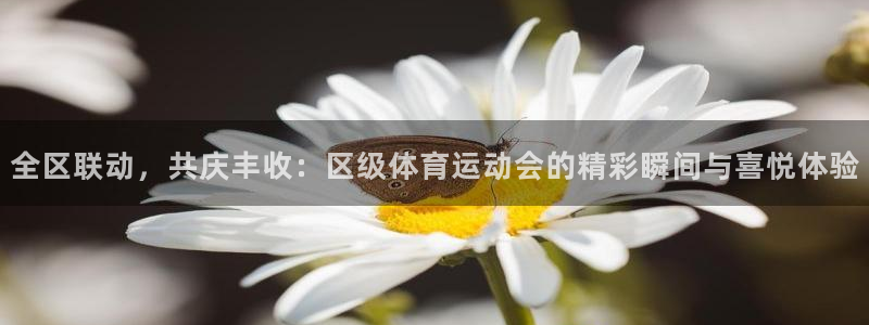 全区联动，共庆丰收：区级体育运动会的精彩瞬间与喜悦体验